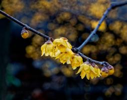 拒绝雾霾 心和身体总有一个在路上