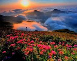 花都开好了 别让我等了吧