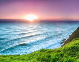 2017雅阁酒店集团年会暨“邦迪坞”电商平台启动仪式