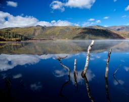 雅阁酒店丨神往之地，龙凤祥腾
